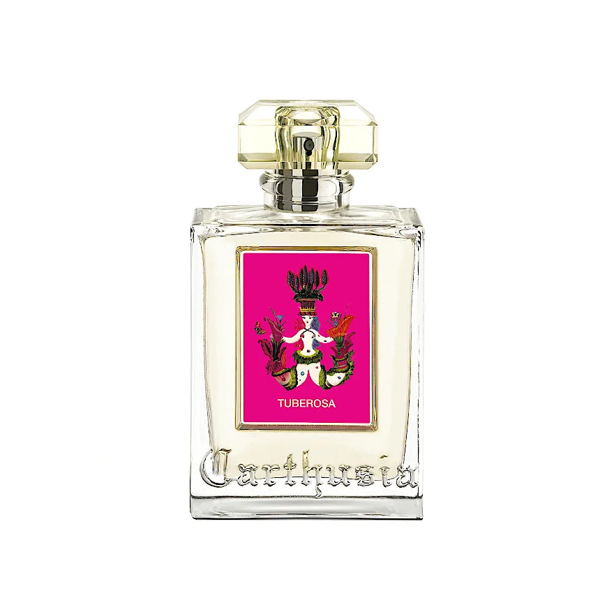 Carthusia - TUBEROSA