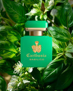 Carthusia - Intenso di Basilico