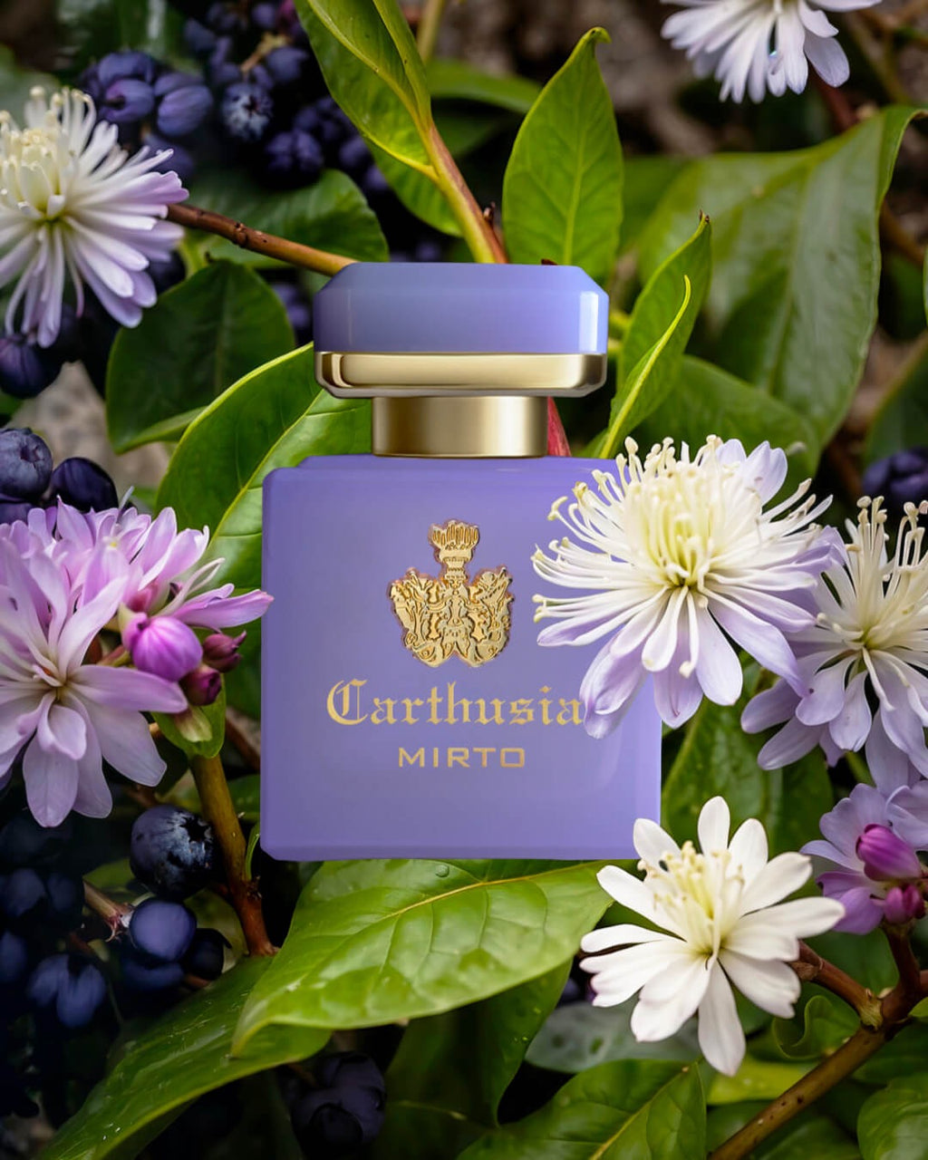 Carthusia - Intenso di Mirto